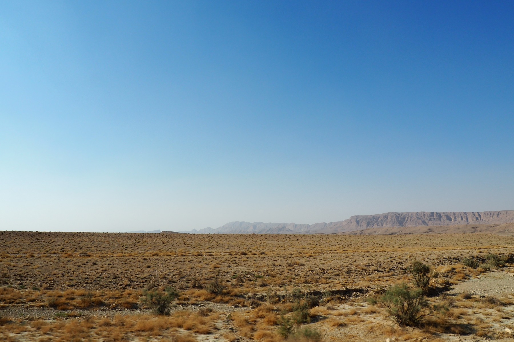 pa190701.jpg