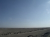 dscf5260