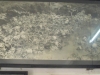 dscf2759